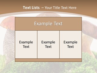 Ripe Chestnut Food PowerPoint Template
