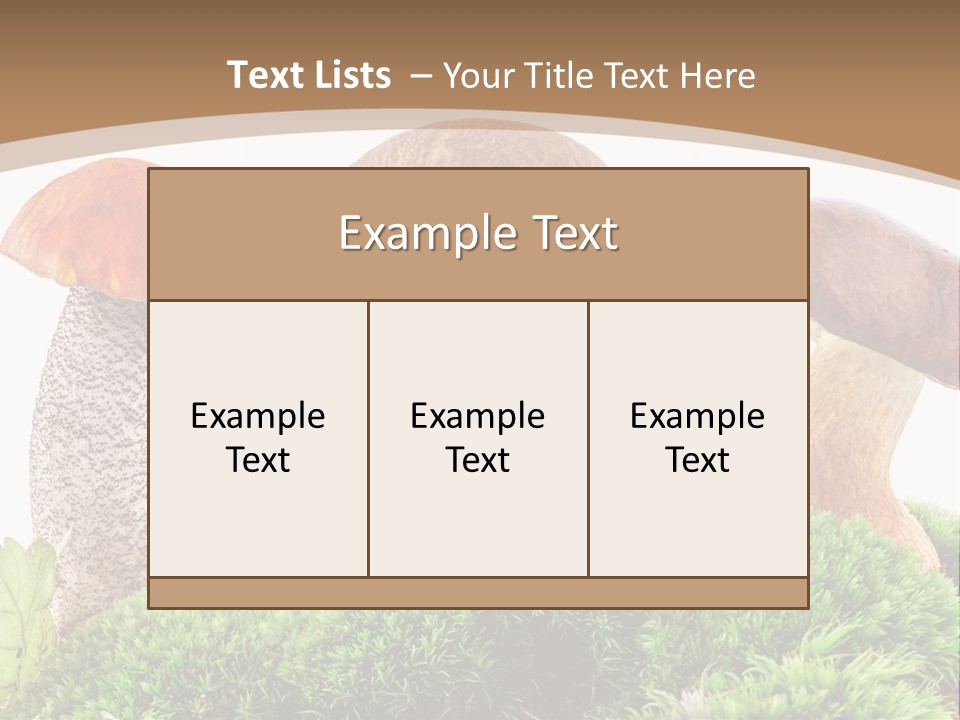 Ripe Chestnut Food PowerPoint Template
