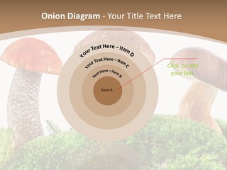 Ripe Chestnut Food PowerPoint Template