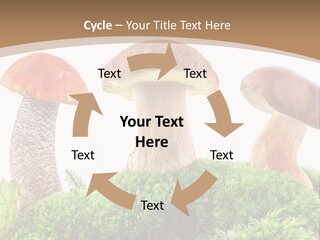 Ripe Chestnut Food PowerPoint Template