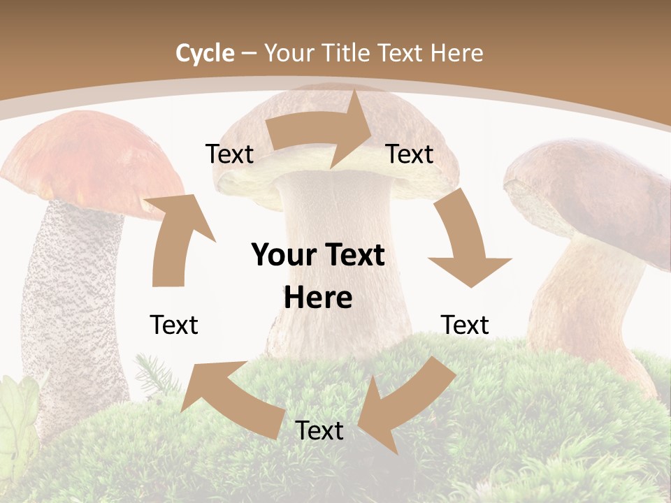 Ripe Chestnut Food PowerPoint Template