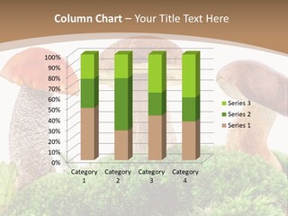 Ripe Chestnut Food PowerPoint Template