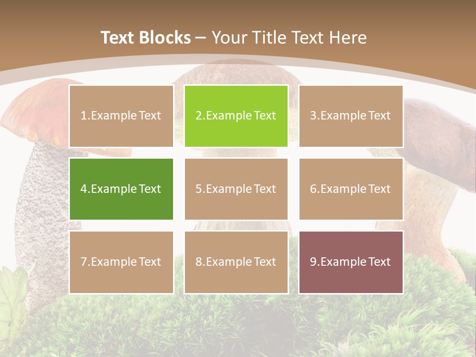 Ripe Chestnut Food PowerPoint Template