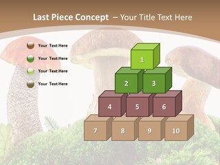 Ripe Chestnut Food PowerPoint Template