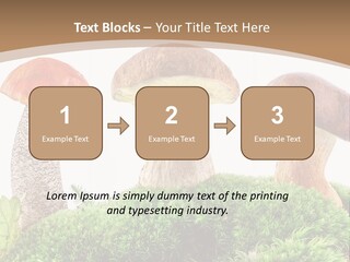 Ripe Chestnut Food PowerPoint Template