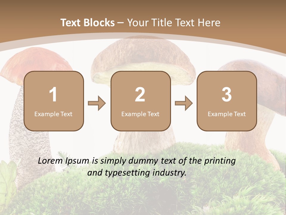 Ripe Chestnut Food PowerPoint Template