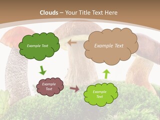 Ripe Chestnut Food PowerPoint Template