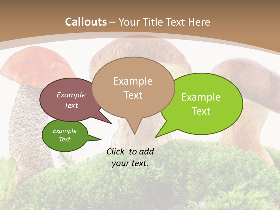 Ripe Chestnut Food PowerPoint Template