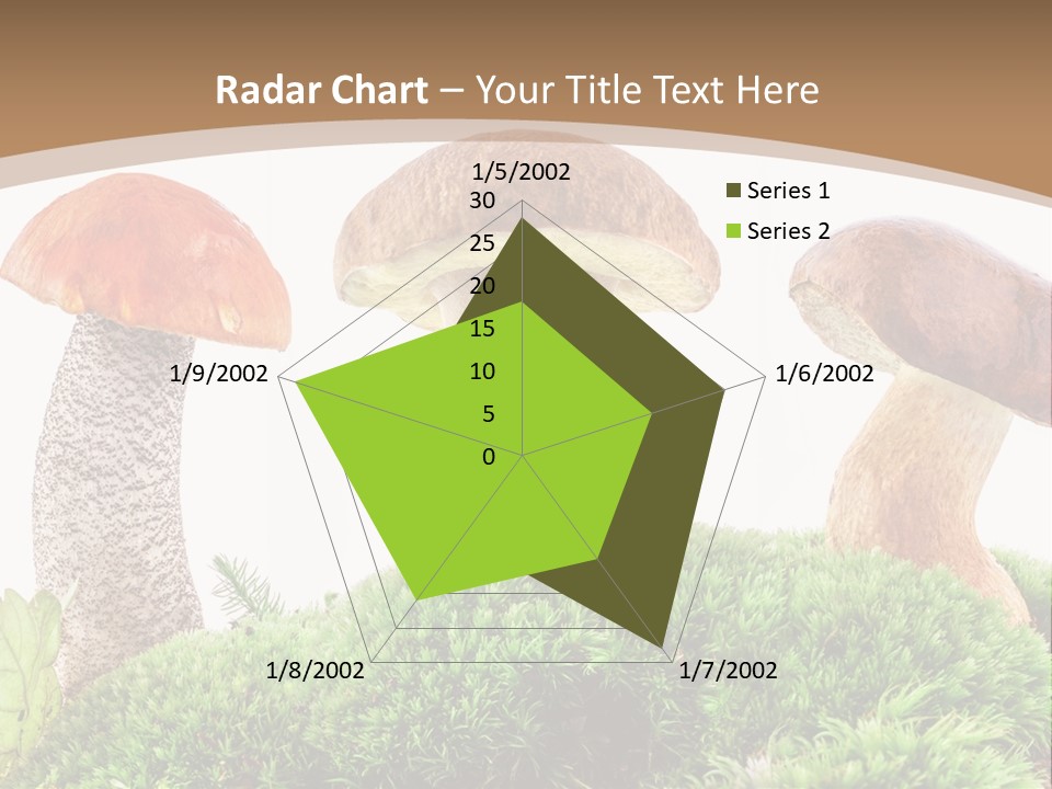 Ripe Chestnut Food PowerPoint Template