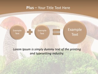 Ripe Chestnut Food PowerPoint Template
