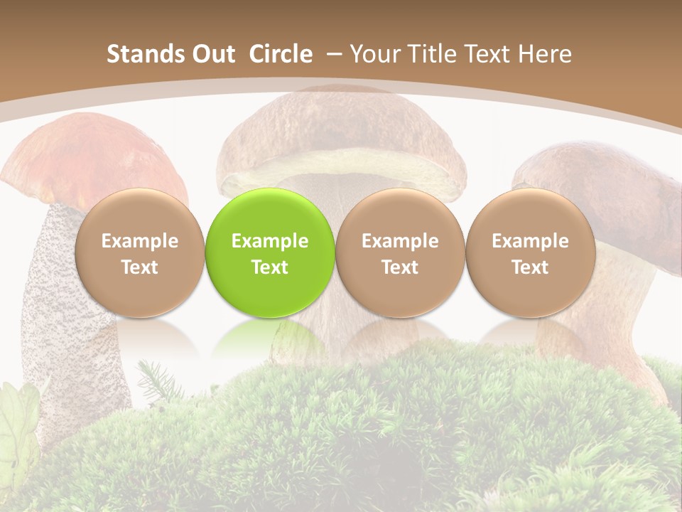 Ripe Chestnut Food PowerPoint Template