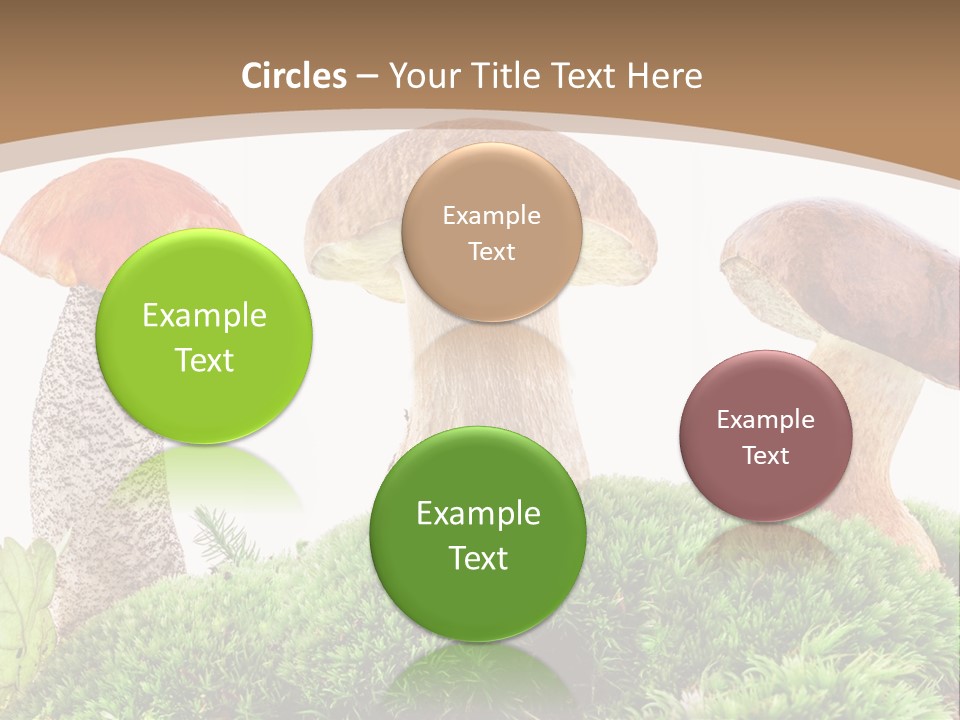 Ripe Chestnut Food PowerPoint Template