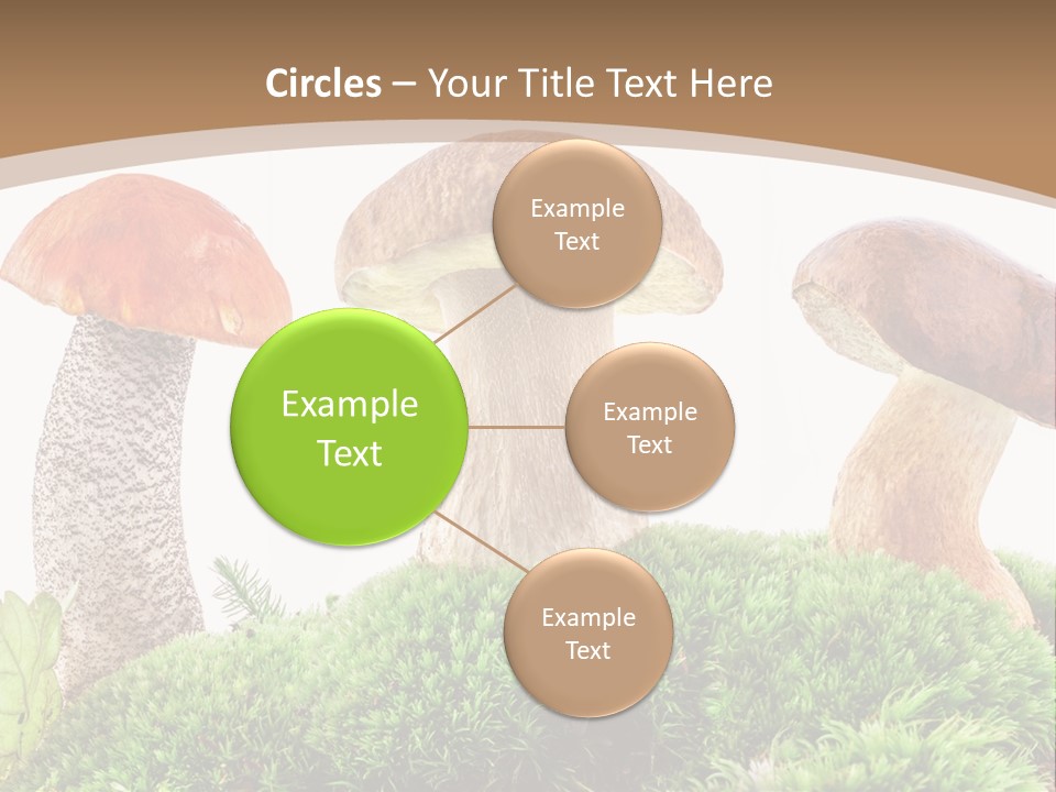 Ripe Chestnut Food PowerPoint Template