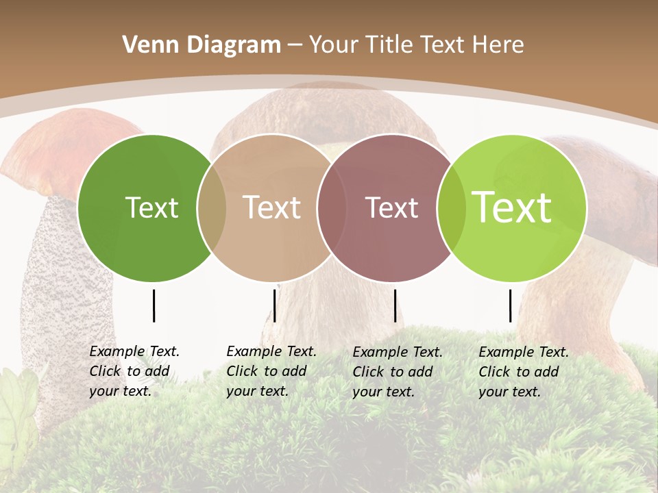Ripe Chestnut Food PowerPoint Template