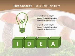 Ripe Chestnut Food PowerPoint Template