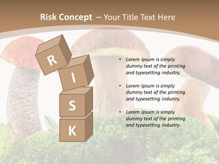 Ripe Chestnut Food PowerPoint Template