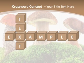 Ripe Chestnut Food PowerPoint Template