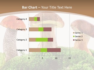 Ripe Chestnut Food PowerPoint Template