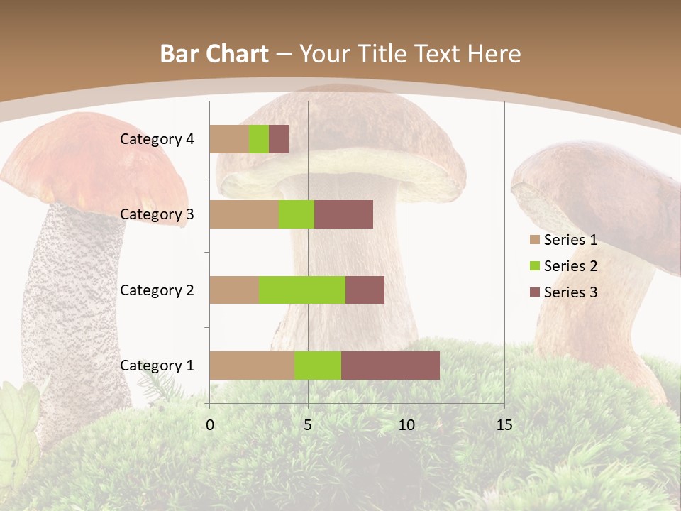 Ripe Chestnut Food PowerPoint Template