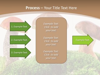 Ripe Chestnut Food PowerPoint Template