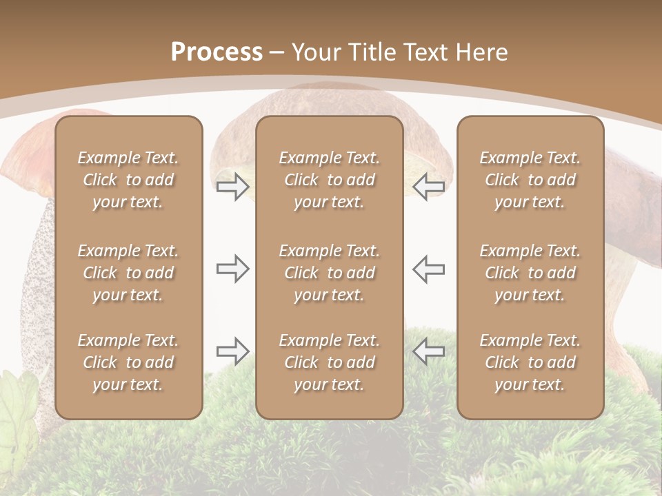 Ripe Chestnut Food PowerPoint Template