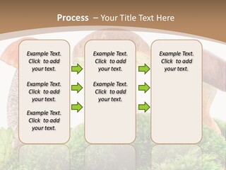 Ripe Chestnut Food PowerPoint Template