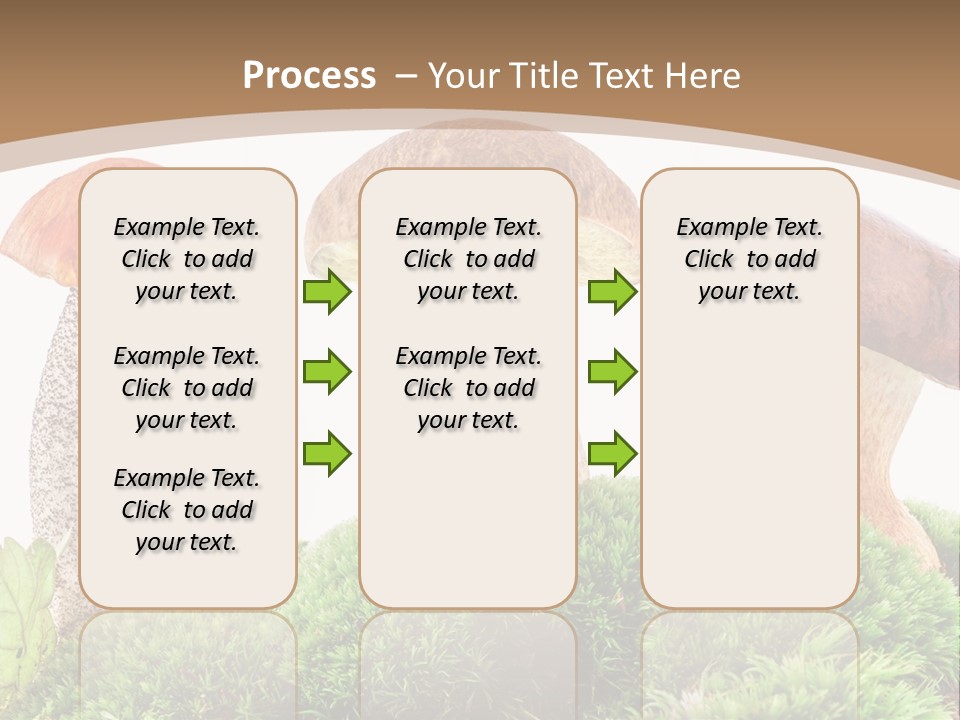 Ripe Chestnut Food PowerPoint Template