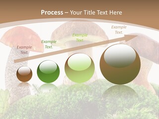 Ripe Chestnut Food PowerPoint Template