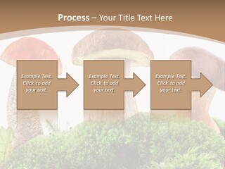 Ripe Chestnut Food PowerPoint Template