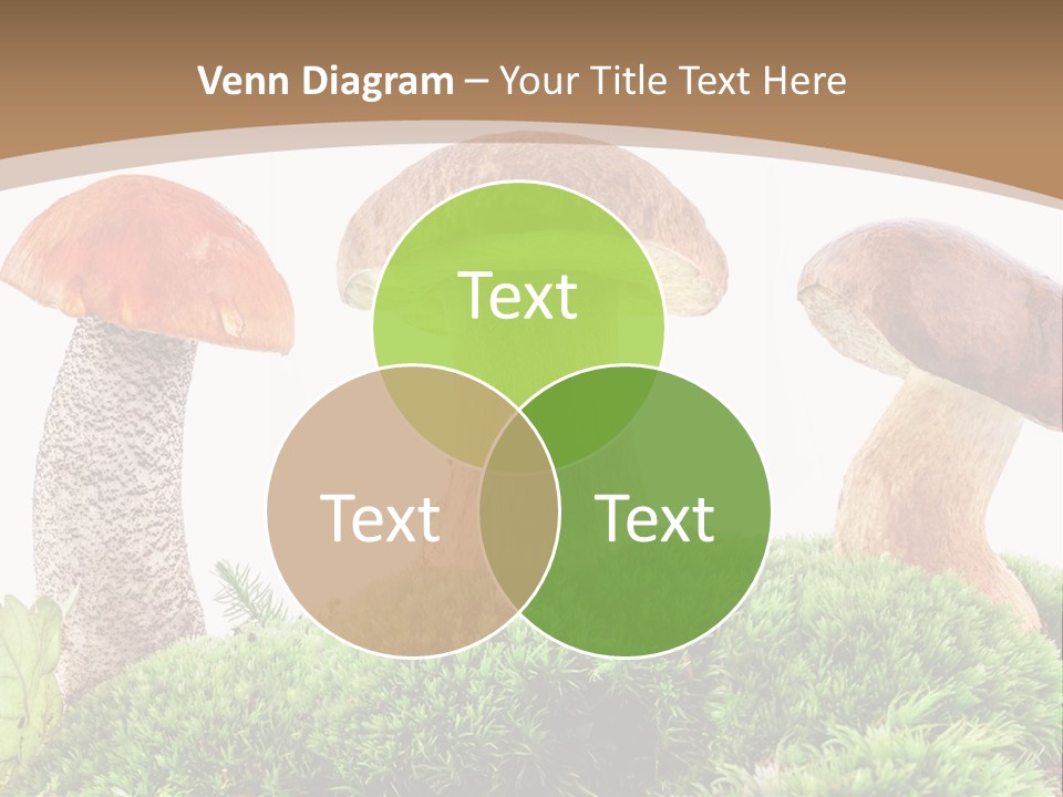 Ripe Chestnut Food PowerPoint Template