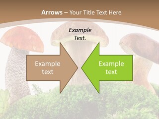 Ripe Chestnut Food PowerPoint Template