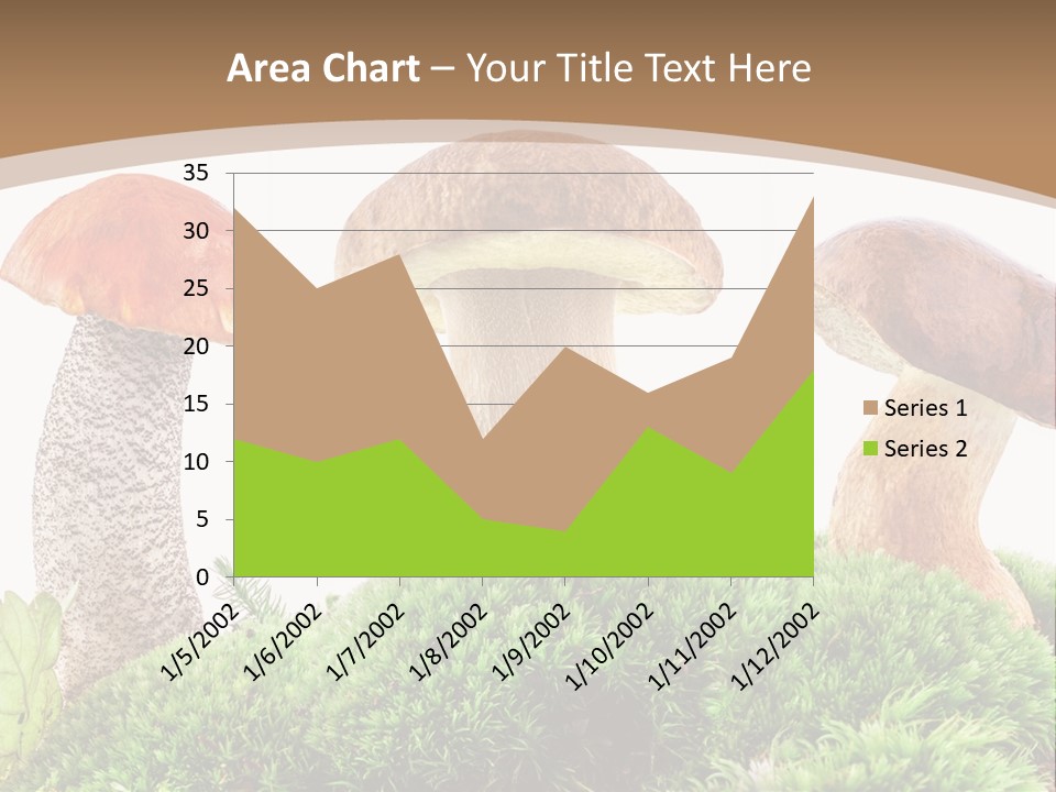 Ripe Chestnut Food PowerPoint Template