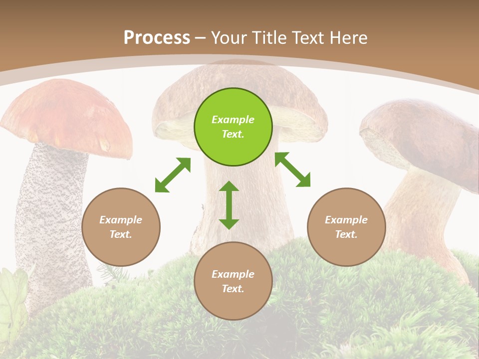 Ripe Chestnut Food PowerPoint Template