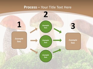 Ripe Chestnut Food PowerPoint Template