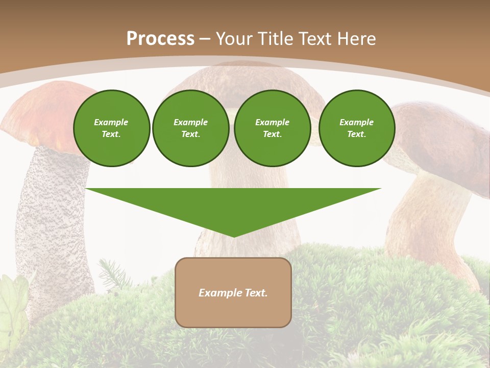 Ripe Chestnut Food PowerPoint Template