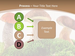 Ripe Chestnut Food PowerPoint Template