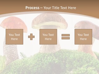 Ripe Chestnut Food PowerPoint Template