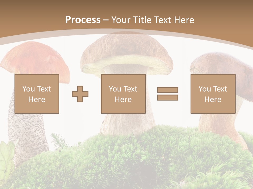 Ripe Chestnut Food PowerPoint Template