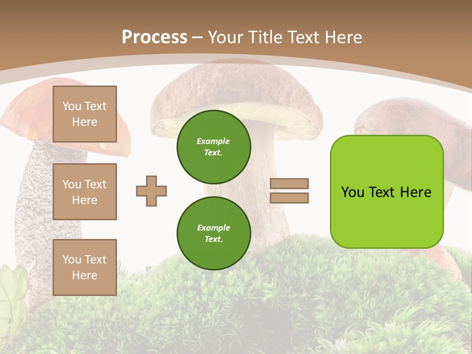 Ripe Chestnut Food PowerPoint Template