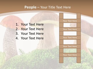Ripe Chestnut Food PowerPoint Template