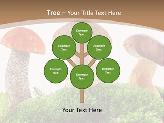 Ripe Chestnut Food PowerPoint Template