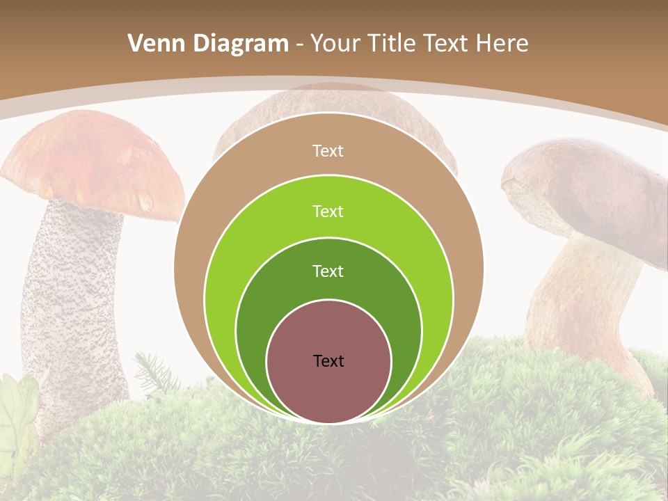 Ripe Chestnut Food PowerPoint Template