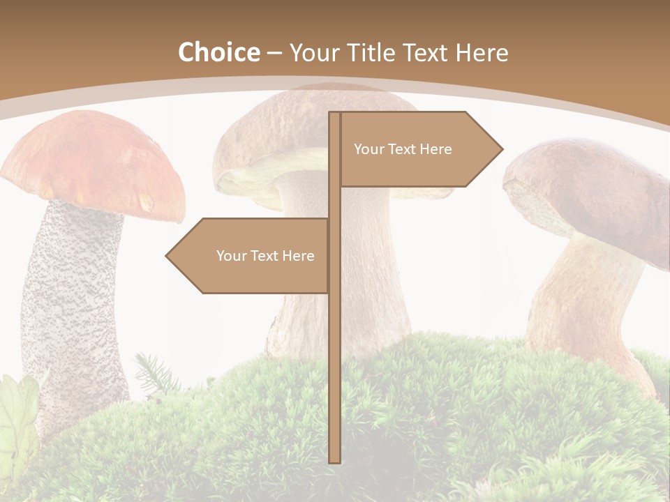 Ripe Chestnut Food PowerPoint Template