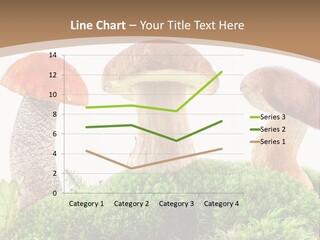 Ripe Chestnut Food PowerPoint Template