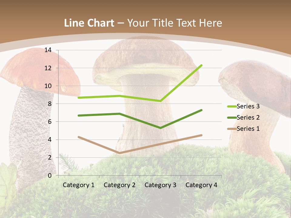 Ripe Chestnut Food PowerPoint Template