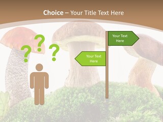 Ripe Chestnut Food PowerPoint Template