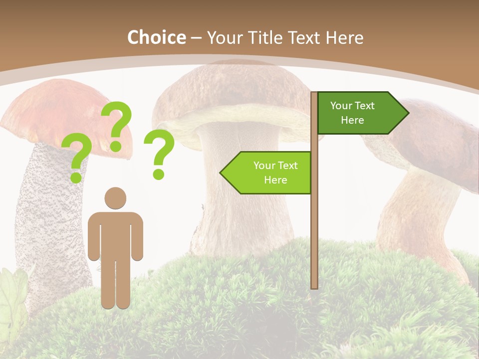 Ripe Chestnut Food PowerPoint Template