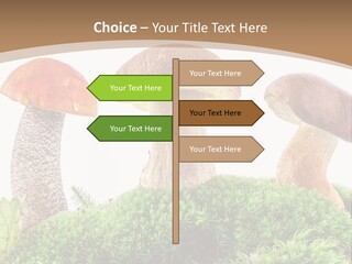 Ripe Chestnut Food PowerPoint Template