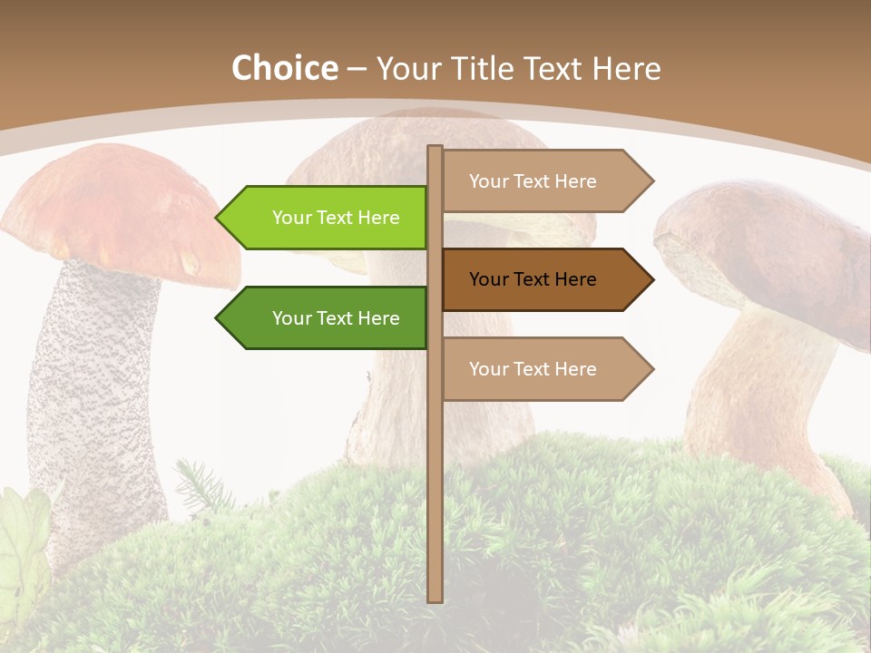Ripe Chestnut Food PowerPoint Template