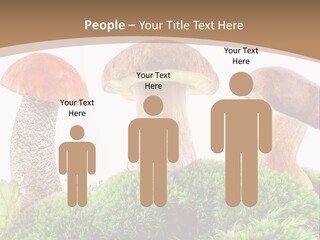 Ripe Chestnut Food PowerPoint Template